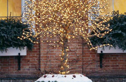 Karácsonyi világítás a fán